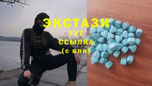 2c-b Бородино